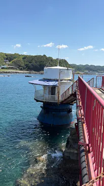 串本海中公園水族館に投稿された画像（2026/5/30）