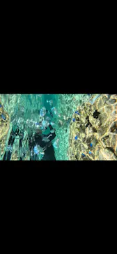 武藤潜水に投稿された画像（2026/5/30）