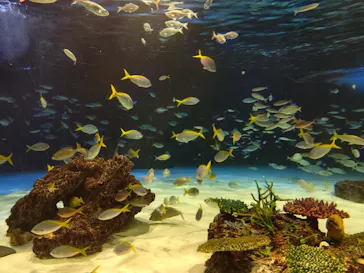サンシャイン水族館に投稿された画像（2026/5/30）