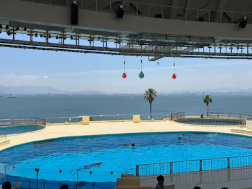 マリンワールド海の中道に投稿された画像（2026/5/30）