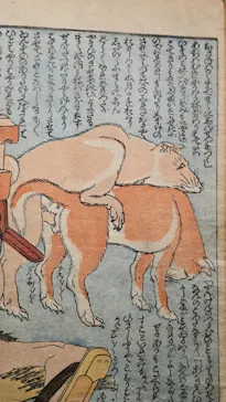 北斎・英泉 艶くらべー歌舞伎町花盛りー新宿歌舞伎町春画展WA 第2回に投稿された画像（2026/5/30）