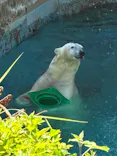 天王寺動物園に投稿された画像（2026/5/30）