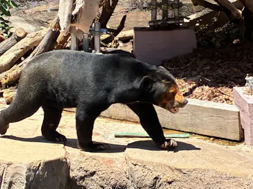 天王寺動物園に投稿された画像（2026/5/30）