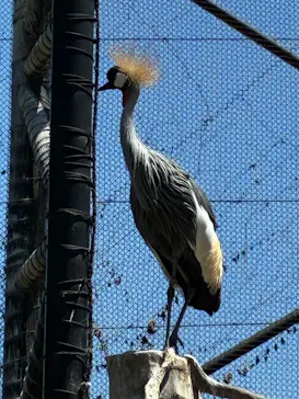 天王寺動物園に投稿された画像（2026/5/30）