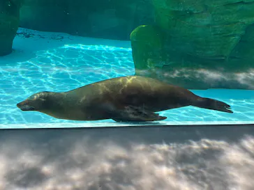 天王寺動物園に投稿された画像（2026/5/30）
