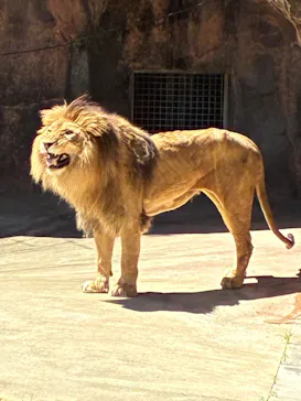 天王寺動物園に投稿された画像（2026/5/30）