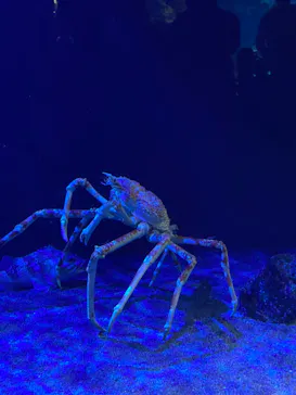 サンシャイン水族館に投稿された画像（2026/5/30）