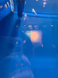 しながわ水族館に投稿された画像（2026/5/30）
