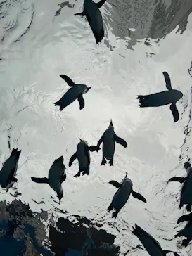 サンシャイン水族館に投稿された画像（2026/5/30）
