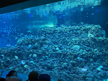 葛西臨海水族園に投稿された画像（2026/5/30）