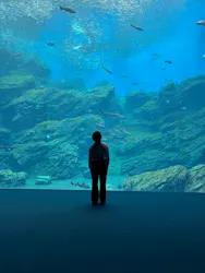 仙台うみの杜水族館に投稿された画像（2026/5/30）