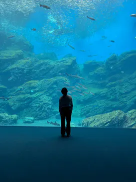 仙台うみの杜水族館に投稿された画像（2026/5/30）