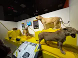 特別展「超危険生物展　科学で挑む生き物の本気」に投稿された画像（2026/5/30）