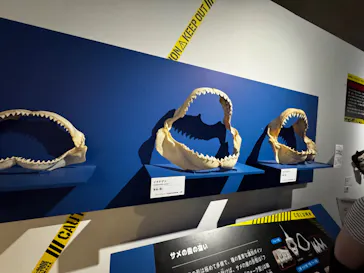 特別展「超危険生物展　科学で挑む生き物の本気」に投稿された画像（2026/5/30）