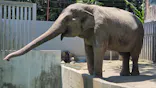 宇都宮動物園に投稿された画像（2026/5/30）