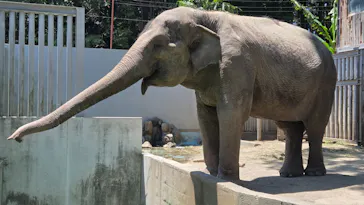 宇都宮動物園に投稿された画像（2026/5/30）