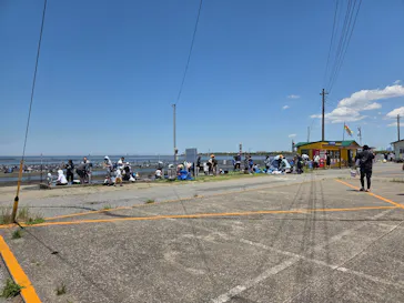 牛込海岸潮干狩りに投稿された画像（2026/5/30）