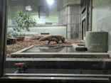 名古屋市東山動植物園に投稿された画像（2026/5/30）