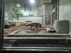名古屋市東山動植物園に投稿された画像（2026/5/30）