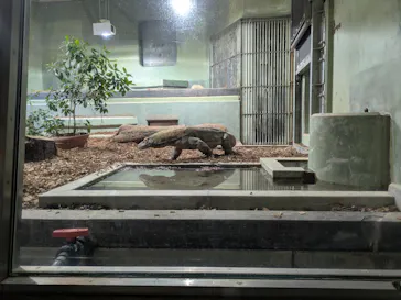 名古屋市東山動植物園に投稿された画像（2026/5/30）