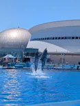 名古屋港水族館に投稿された画像（2026/5/30）