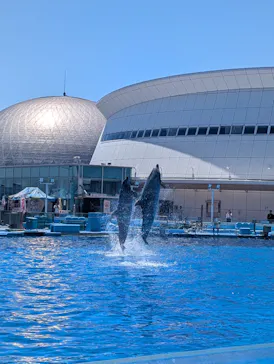 名古屋港水族館に投稿された画像（2026/5/30）