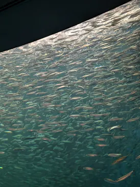 名古屋港水族館に投稿された画像（2026/5/30）