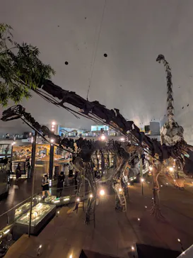 福井県立恐竜博物館に投稿された画像（2026/5/30）