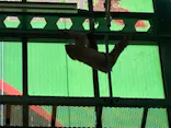 千葉市動物公園に投稿された画像（2026/5/30）