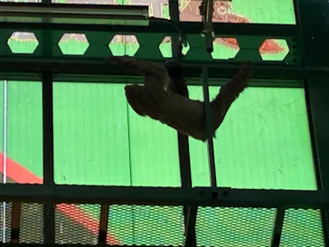 千葉市動物公園に投稿された画像（2026/5/30）