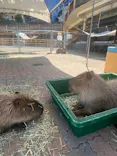 別府ケーブルラクテンチに投稿された画像（2026/5/30）