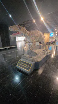 福井県立恐竜博物館に投稿された画像（2026/5/30）