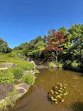 宗教法人退蔵院に投稿された画像（2026/5/30）