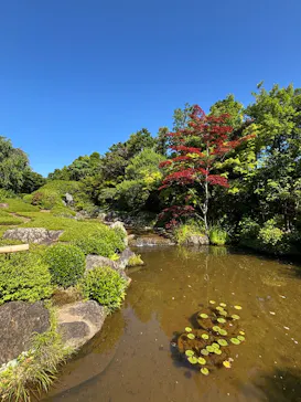 宗教法人退蔵院に投稿された画像（2026/5/30）