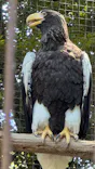 恩賜上野動物園に投稿された画像（2026/5/30）