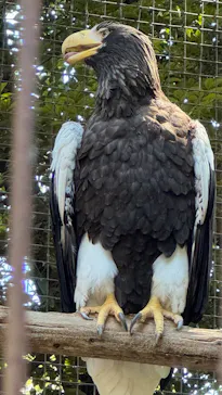恩賜上野動物園に投稿された画像（2026/5/30）