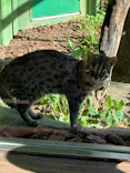 名古屋市東山動植物園に投稿された画像（2026/5/30）
