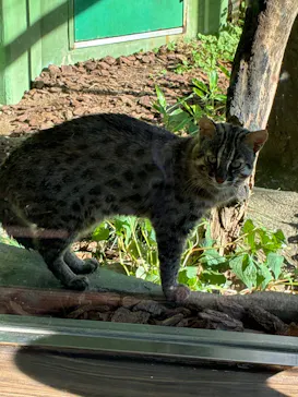 名古屋市東山動植物園に投稿された画像（2026/5/30）