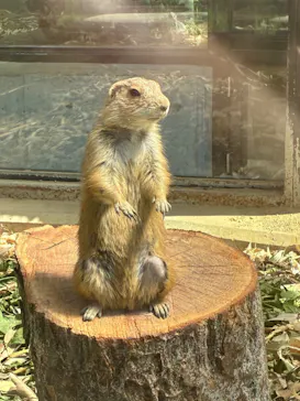 名古屋市東山動植物園に投稿された画像（2026/5/30）