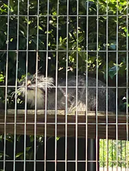 名古屋市東山動植物園に投稿された画像（2026/5/30）