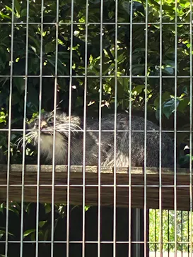 名古屋市東山動植物園に投稿された画像（2026/5/30）