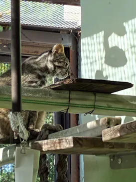 名古屋市東山動植物園に投稿された画像（2026/5/30）