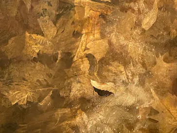 東京都美術館開館100周年記念　アンドリュー・ワイエス展に投稿された画像（2026/5/30）