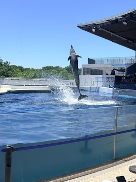 京都水族館に投稿された画像（2026/5/30）
