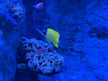 すみだ水族館に投稿された画像（2026/5/30）