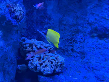 すみだ水族館に投稿された画像（2026/5/30）