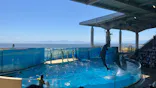 新江ノ島水族館に投稿された画像（2026/5/30）