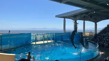 新江ノ島水族館に投稿された画像（2026/5/30）