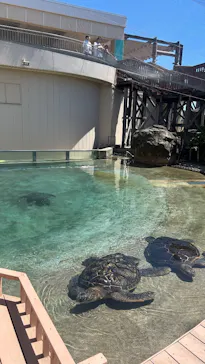 新江ノ島水族館に投稿された画像（2026/5/30）