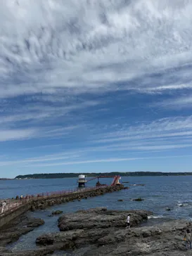 串本海中公園水族館に投稿された画像（2026/5/30）